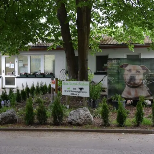 Eingangsbereich des Tierheims mit Vorgarten und Schild