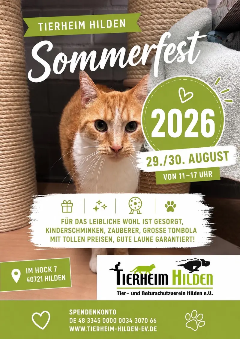 Plakat Sommerfest 2026 mit einer rotweißen Katze